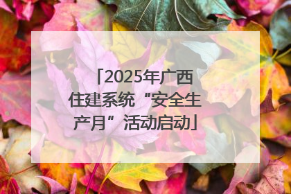 2025年广西住建系统“安全生产月”活动启动